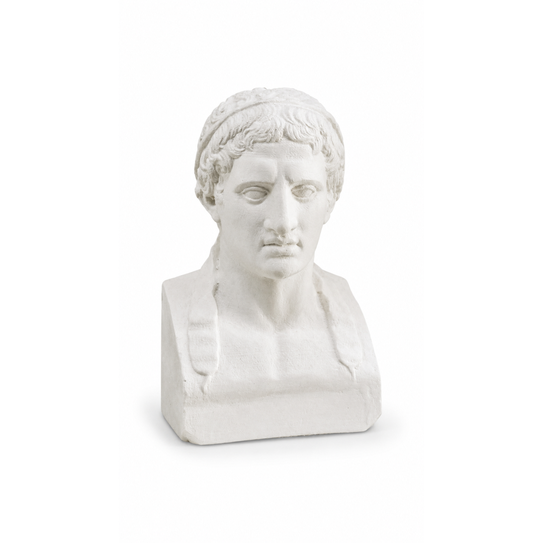 Busto Hércules Real Academia