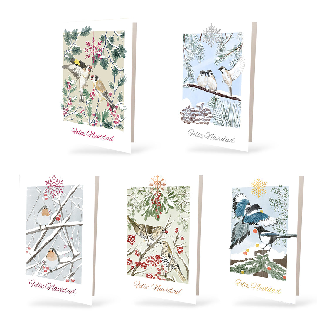 Estuche de 10 tarjetas navideñas PAJAROS