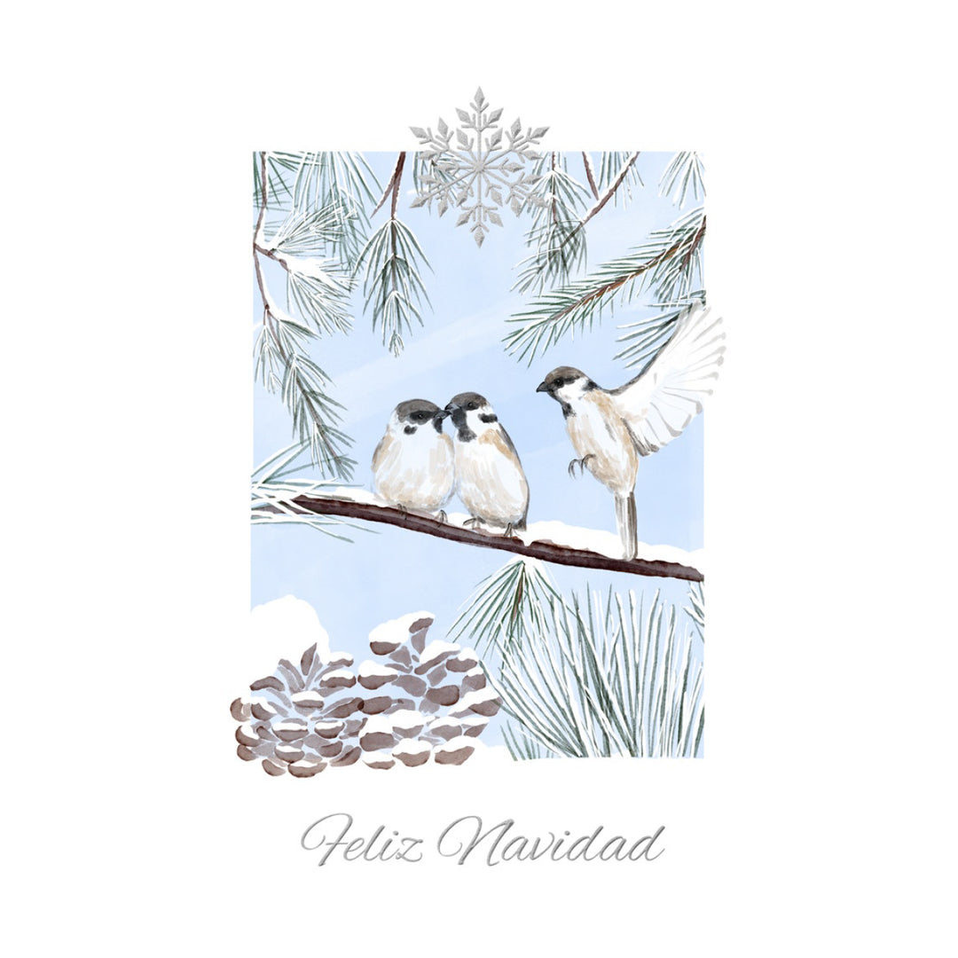 Estuche de 10 tarjetas navideñas PAJAROS