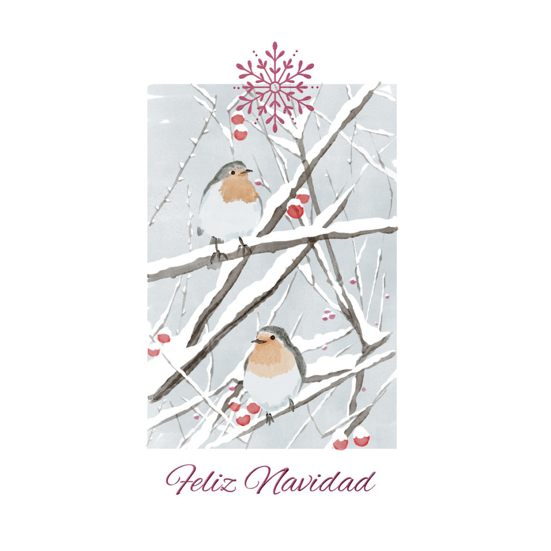 Estuche de 10 tarjetas navideñas PAJAROS