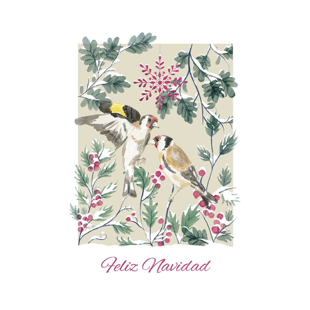 Estuche de 10 tarjetas navideñas PAJAROS