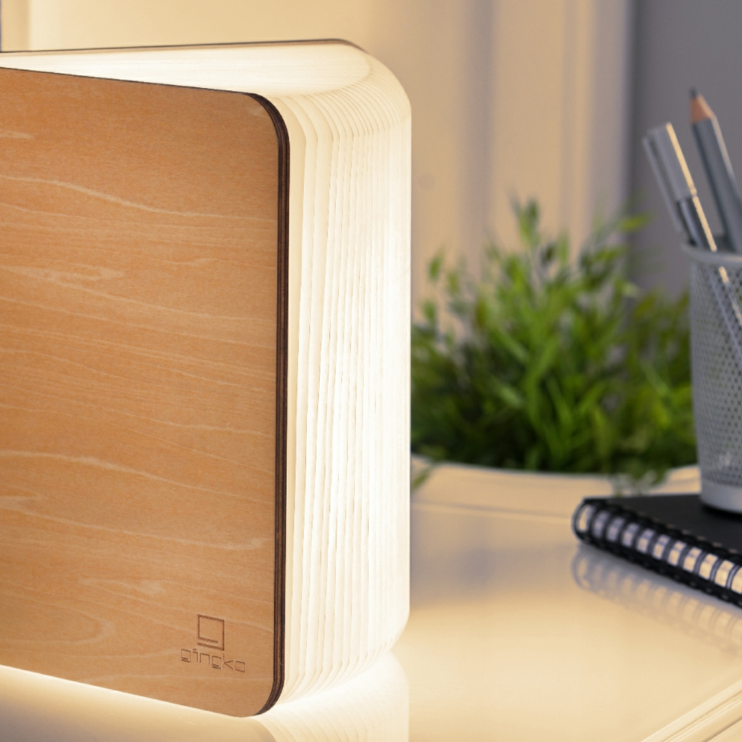Smart Book mini